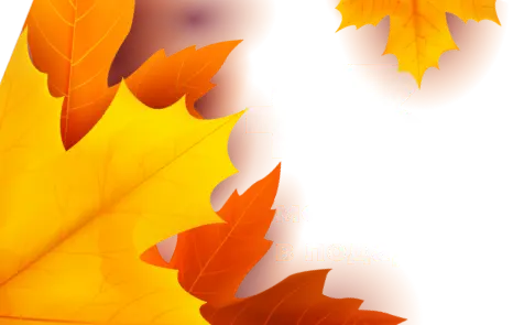 Осенний Гигапад - 3 месяца в подарок
