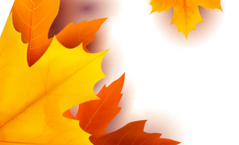 Осінній Гігапад - 3 місяці у подарунок