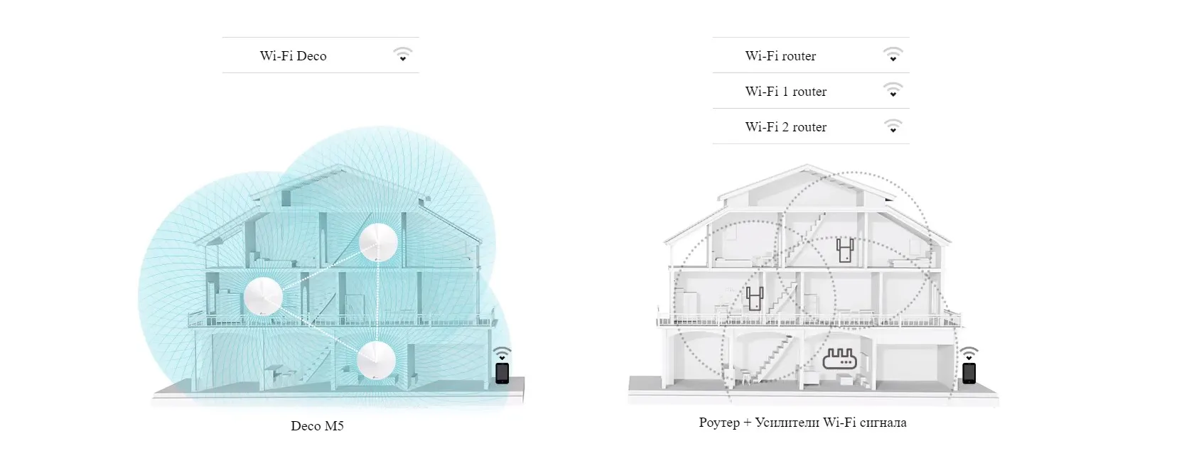 5.webp